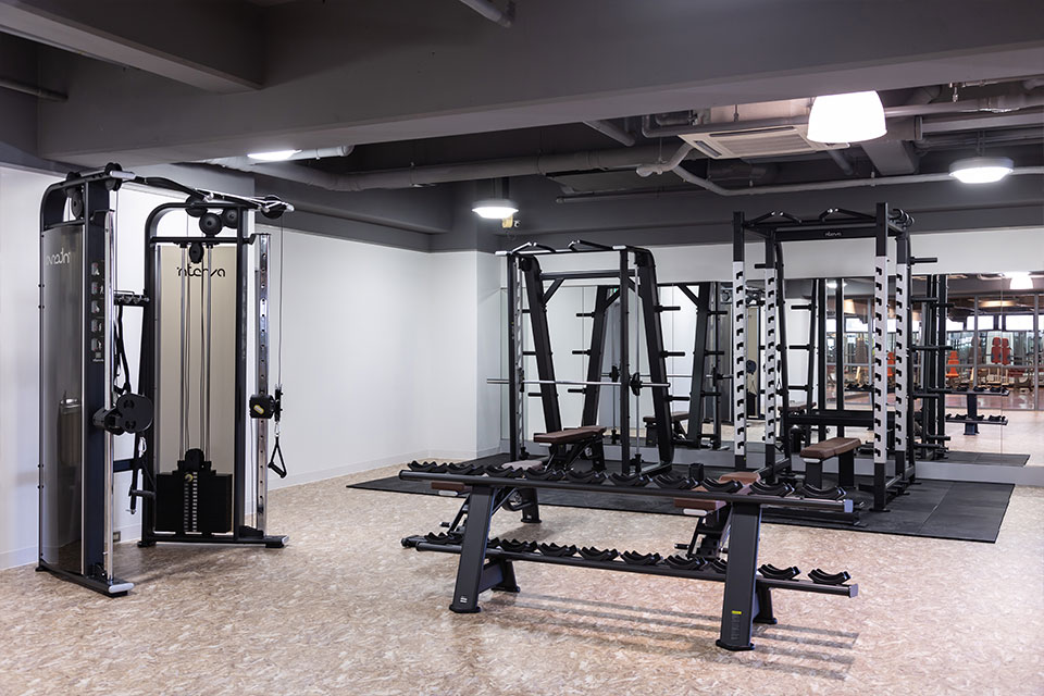 フリーウェイト